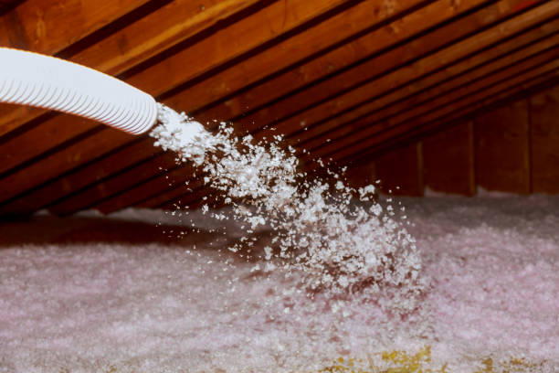 Professional Insulation Contractor in Des Allemands, LA