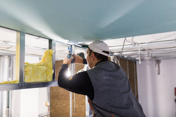 Insulation Inspection Services in Des Allemands, LA