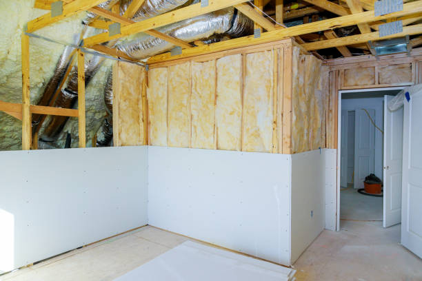 Best Soundproof Insulation Installation  in Des Allemands, LA