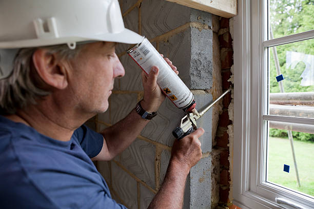 Best Insulation Contractors for Homes  in Des Allemands, LA